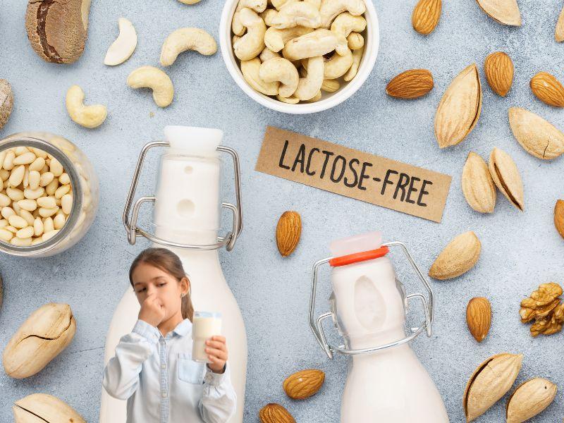 Choosing the Best Protein Supplement for Lactose Intolerant Needs