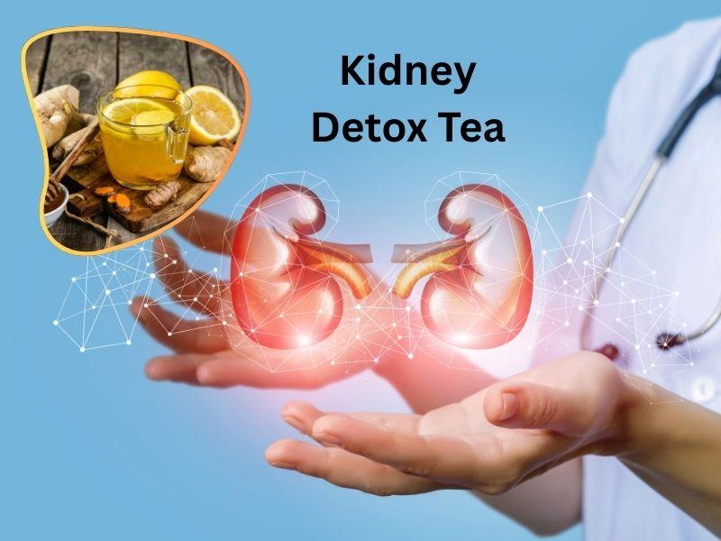 The Scientific Truth Do Kidney Detox Teas Really Work
