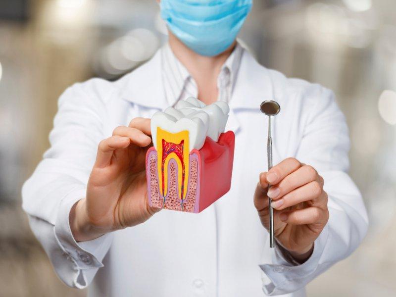 Tips to Prevent Root Canals Through Professional Care